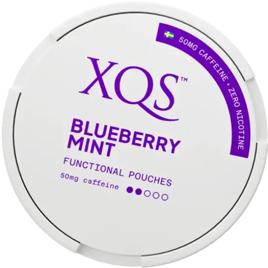 XQS Blueberry Mint Zero by XQS - Normal