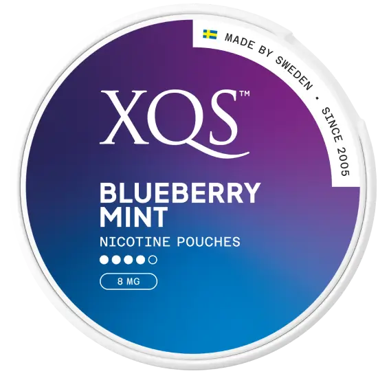 XQS Blueberry Mint Strong by XQS - Strong