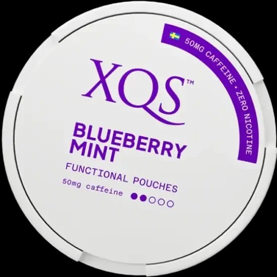XQS Blueberry Mint Zero by XQS - Normal