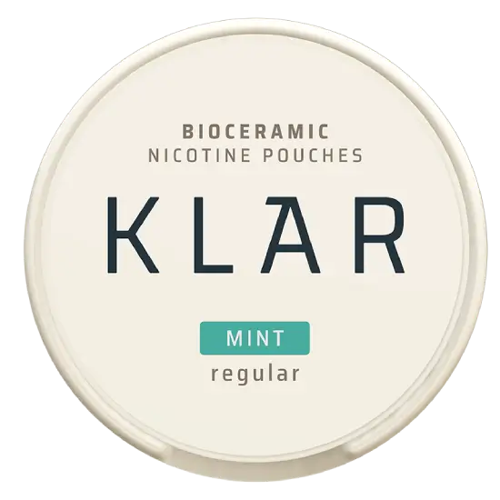 KLAR Mint Regular Mini by KLAR - Normal