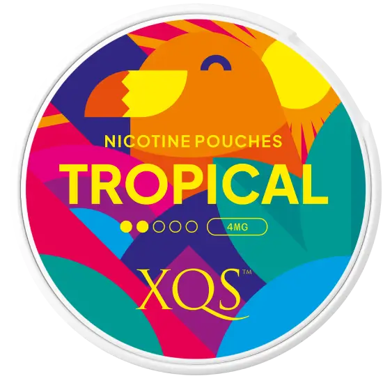 XQS Tropical Light by XQS - Normal