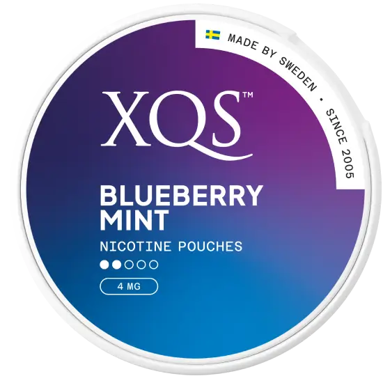 XQS Blueberry Mint Light by XQS - Normal