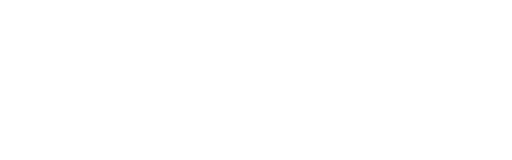 STNG logo