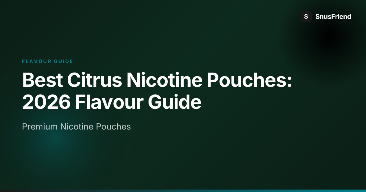 Best Citrus Nicotine Pouches: 2026 Flavour Guide hero image