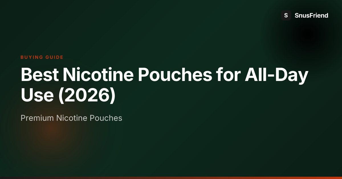 Best Nicotine Pouches for All-Day Use (2026) hero image