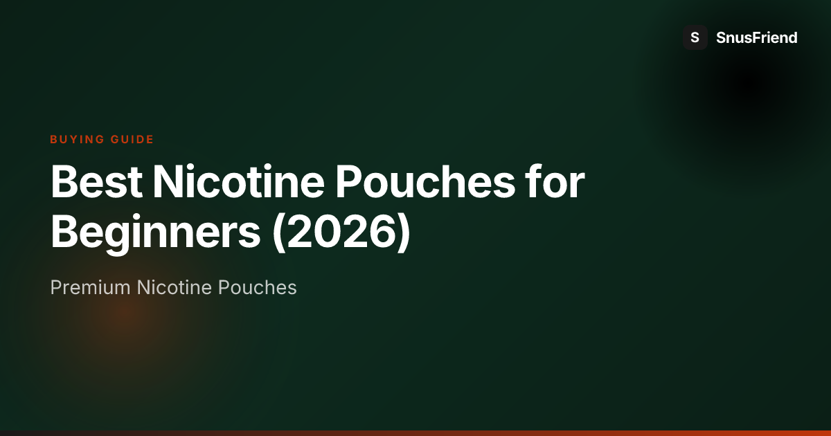 Best Nicotine Pouches for Beginners (2026) hero image