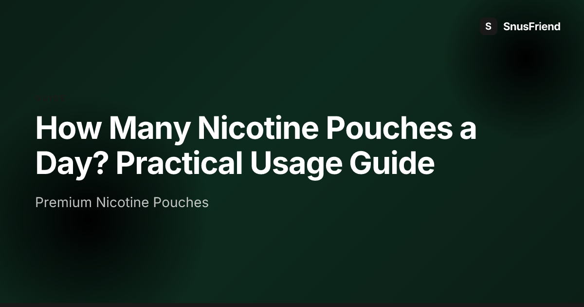 How Many Nicotine Pouches a Day? Practical Usage Guide hero image