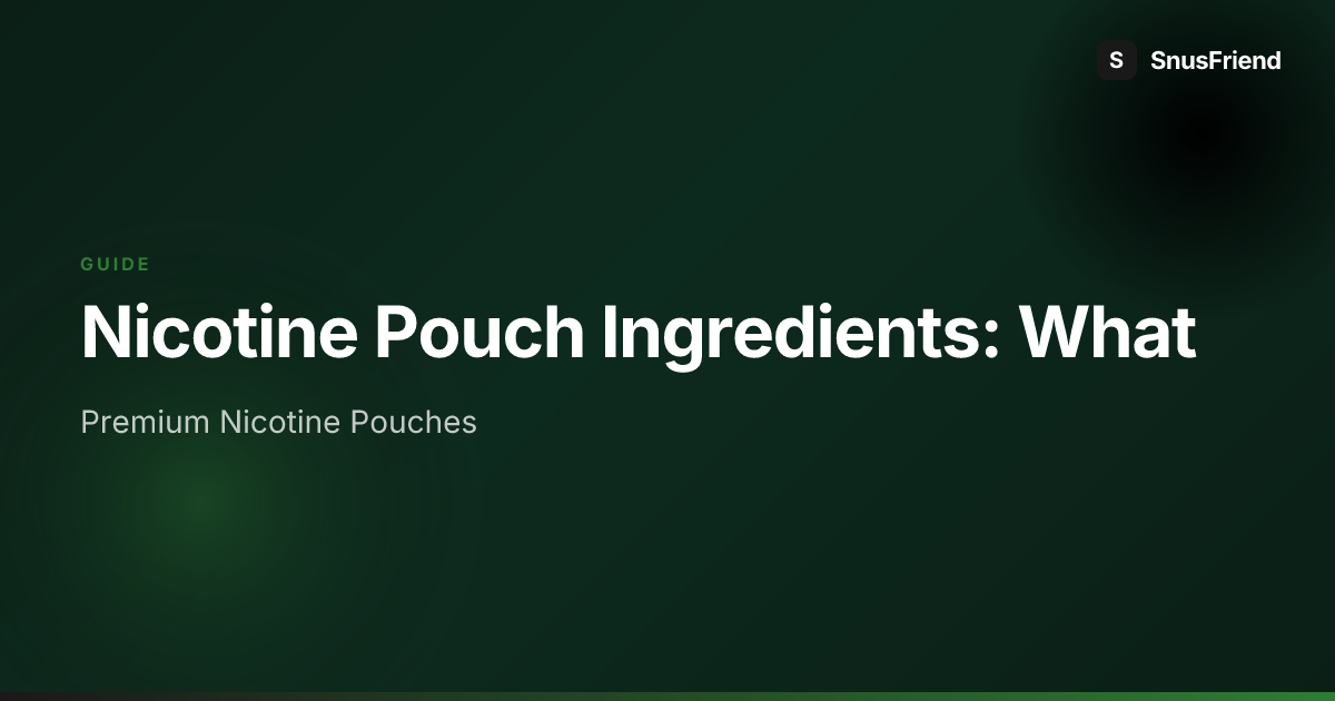 Nicotine Pouch Ingredients Explained: What's Actually Inside? hero image