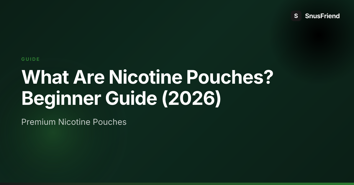 What Are Nicotine Pouches? A Complete Guide preview image